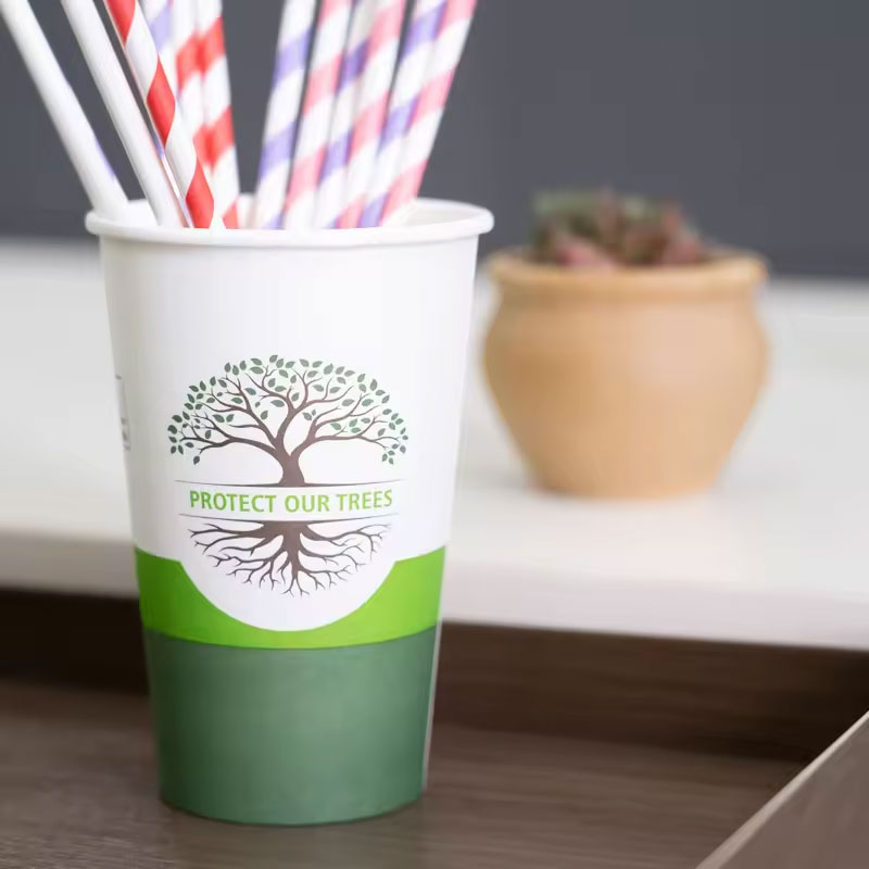 PLA Biodegradable Paper Cups